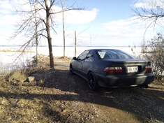 a rest after a hard forest drive